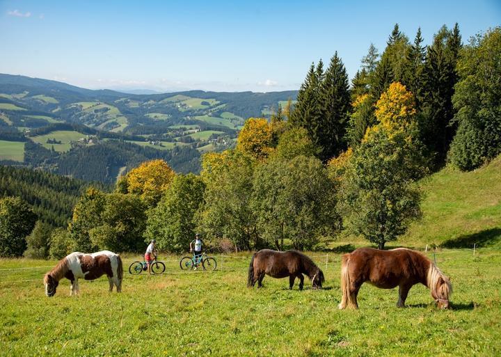 Gasthof & Restaurant Schmid